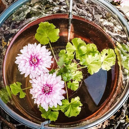 Hotel Schettereggerhof 3*