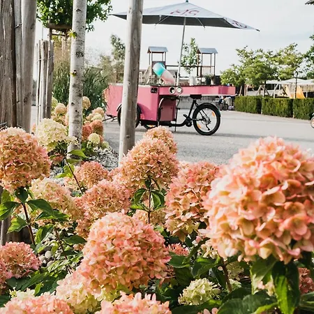 Schettereggerhof Egg