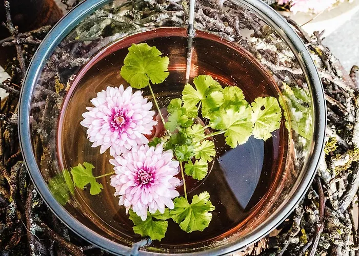 Hotel Schettereggerhof 3*