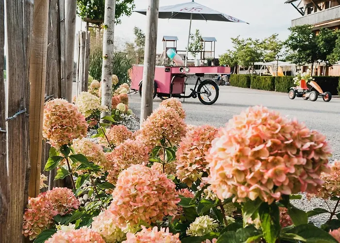 Schettereggerhof Egg